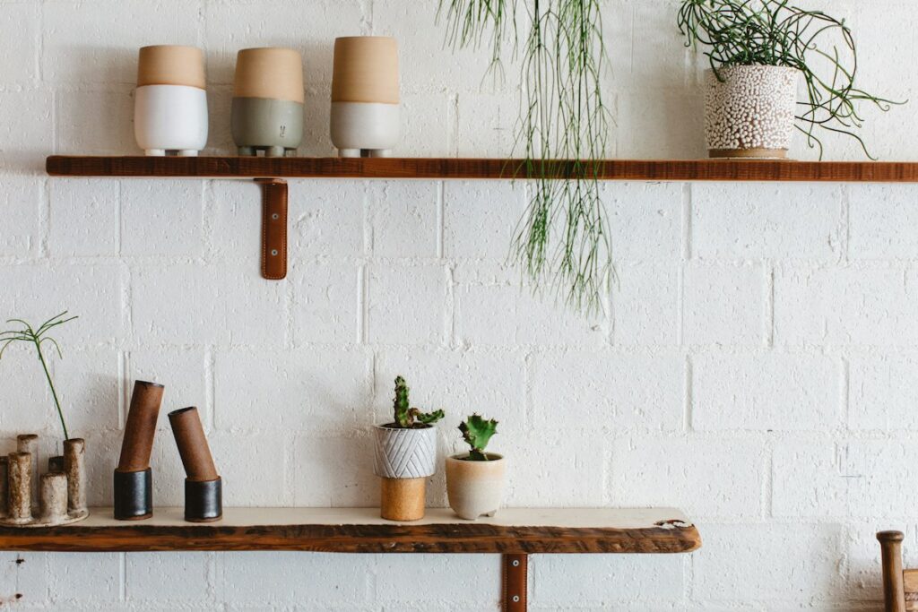 Wall-mounted wooden shelves displaying plants and ceramics