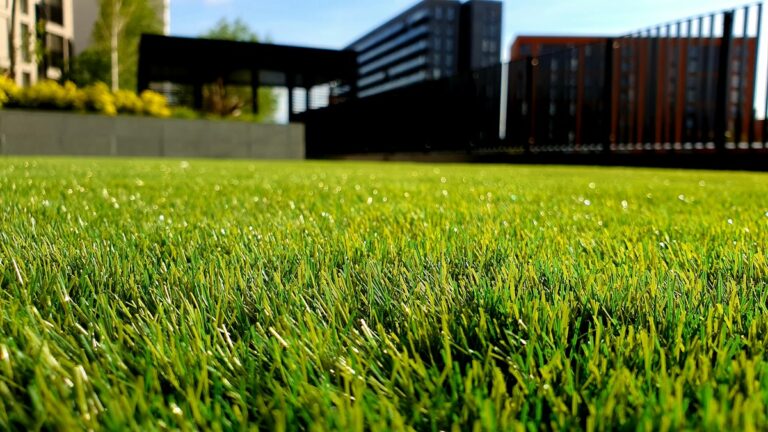 Healthy green lawn grass outdoors