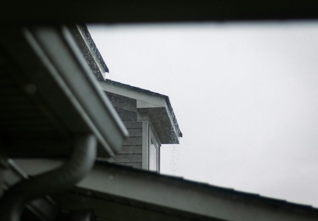 Roof and rain gutter system on house exterior